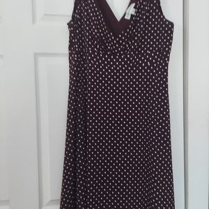 Size 16 Polka Dot Dress